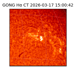 gong - 2026-03-17T15:00:42