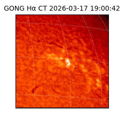 gong - 2026-03-17T19:00:42