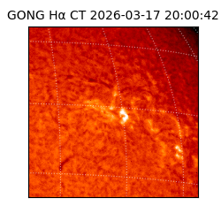 gong - 2026-03-17T20:00:42