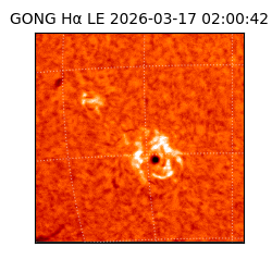 gong - 2026-03-17T02:00:42