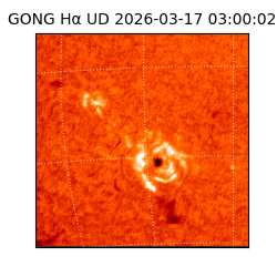 gong - 2026-03-17T03:00:02