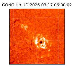 gong - 2026-03-17T06:00:02