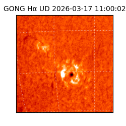 gong - 2026-03-17T11:00:02