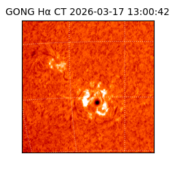 gong - 2026-03-17T13:00:42