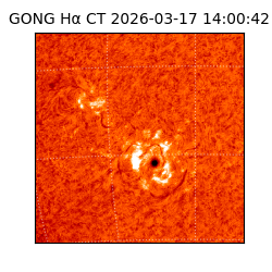 gong - 2026-03-17T14:00:42