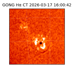 gong - 2026-03-17T16:00:42