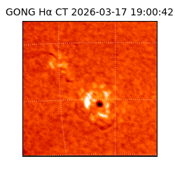 gong - 2026-03-17T19:00:42