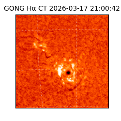 gong - 2026-03-17T21:00:42