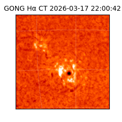 gong - 2026-03-17T22:00:42