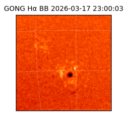 gong - 2026-03-17T23:00:03