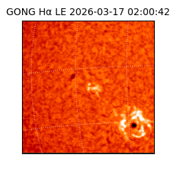 gong - 2026-03-17T02:00:42