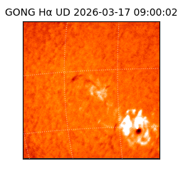 gong - 2026-03-17T09:00:02