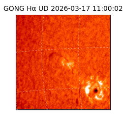 gong - 2026-03-17T11:00:02