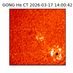 gong - 2026-03-17T14:00:42