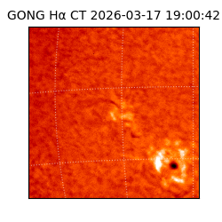 gong - 2026-03-17T19:00:42