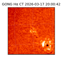 gong - 2026-03-17T20:00:42