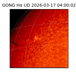 gong - 2026-03-17T04:00:02