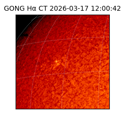 gong - 2026-03-17T12:00:42