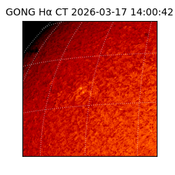 gong - 2026-03-17T14:00:42