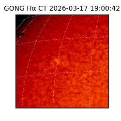gong - 2026-03-17T19:00:42