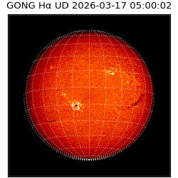 gong - 2026-03-17T05:00:02