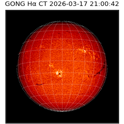 gong - 2026-03-17T21:00:42