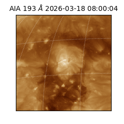 saia - 2026-03-18T08:00:04.843000