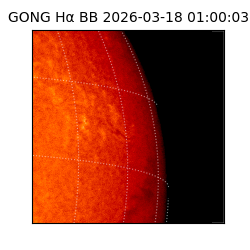 gong - 2026-03-18T01:00:03