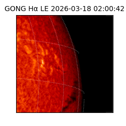 gong - 2026-03-18T02:00:42