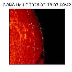 gong - 2026-03-18T07:00:42