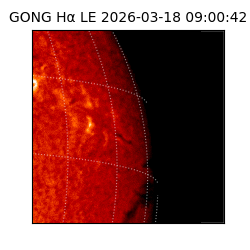 gong - 2026-03-18T09:00:42