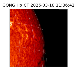 gong - 2026-03-18T11:36:42