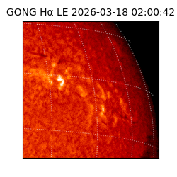 gong - 2026-03-18T02:00:42