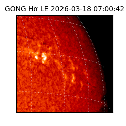 gong - 2026-03-18T07:00:42
