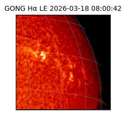 gong - 2026-03-18T08:00:42