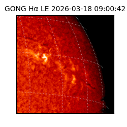 gong - 2026-03-18T09:00:42