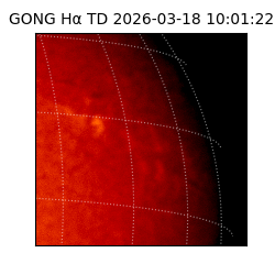 gong - 2026-03-18T10:01:22