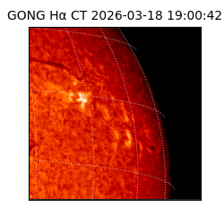 gong - 2026-03-18T19:00:42