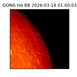 gong - 2026-03-18T01:00:03