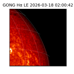 gong - 2026-03-18T02:00:42