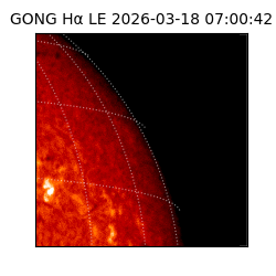 gong - 2026-03-18T07:00:42