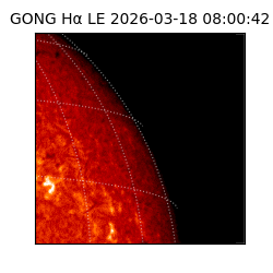 gong - 2026-03-18T08:00:42