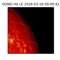 gong - 2026-03-18T09:00:42