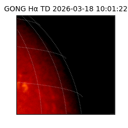 gong - 2026-03-18T10:01:22