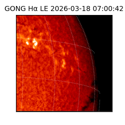 gong - 2026-03-18T07:00:42