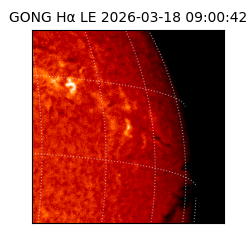 gong - 2026-03-18T09:00:42