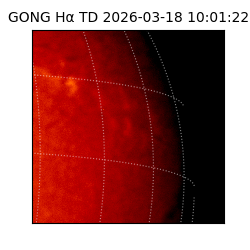 gong - 2026-03-18T10:01:22