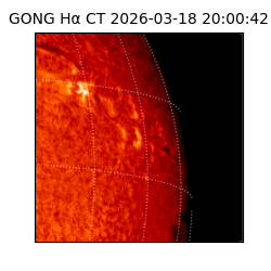 gong - 2026-03-18T20:00:42