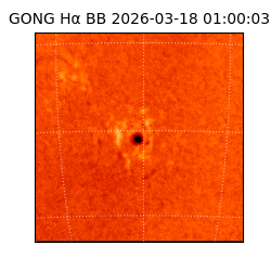 gong - 2026-03-18T01:00:03