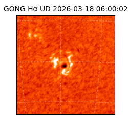 gong - 2026-03-18T06:00:02